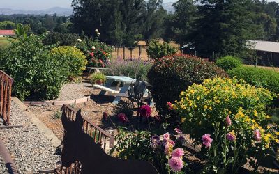 2018-08-04 Lavender Bee Farm Ride