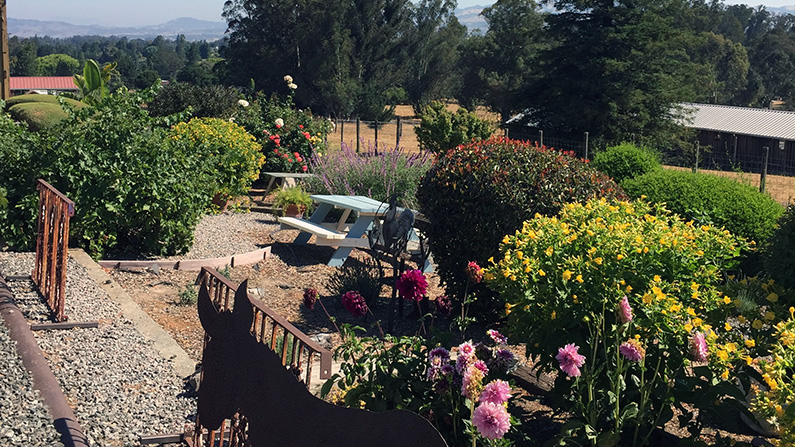 2018-08-04 Lavender Bee Farm Ride