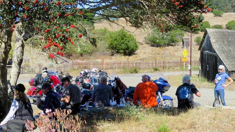 2020-10-03 Stewart's Point Ride