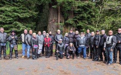 2021-03-27-28 Ferndale / Fortuna / Ave of the Giants Ride