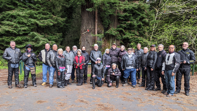 2021-03-27 Ferndale Fortuna Ave of the Giants